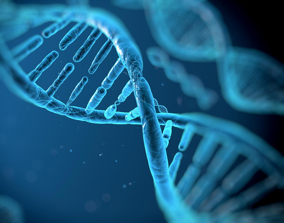 Drug Metabolism and Pharmacokinetics Services