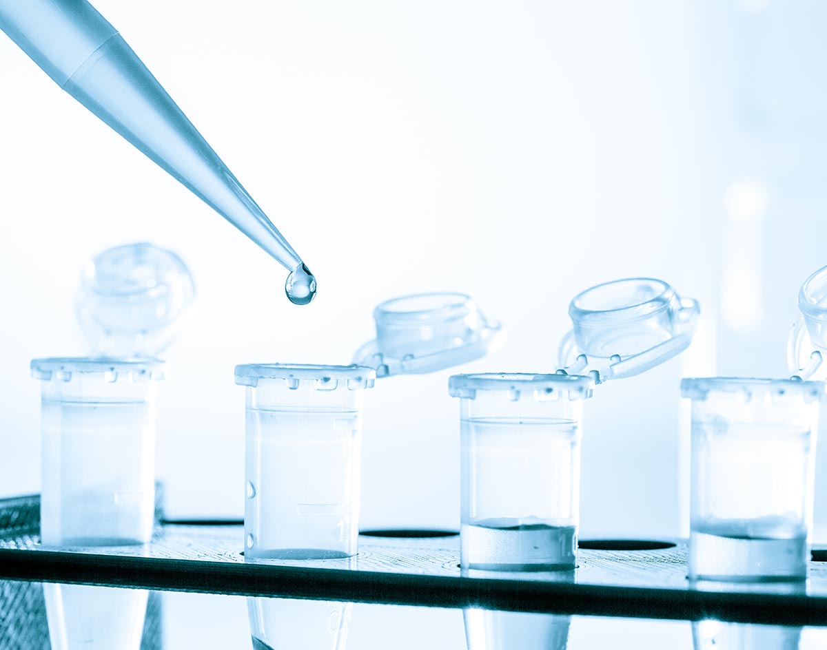 Drug Metabolism and Pharmacokinetics Services