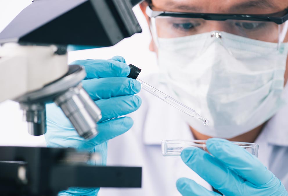 Drug Metabolism and Pharmacokinetics Services