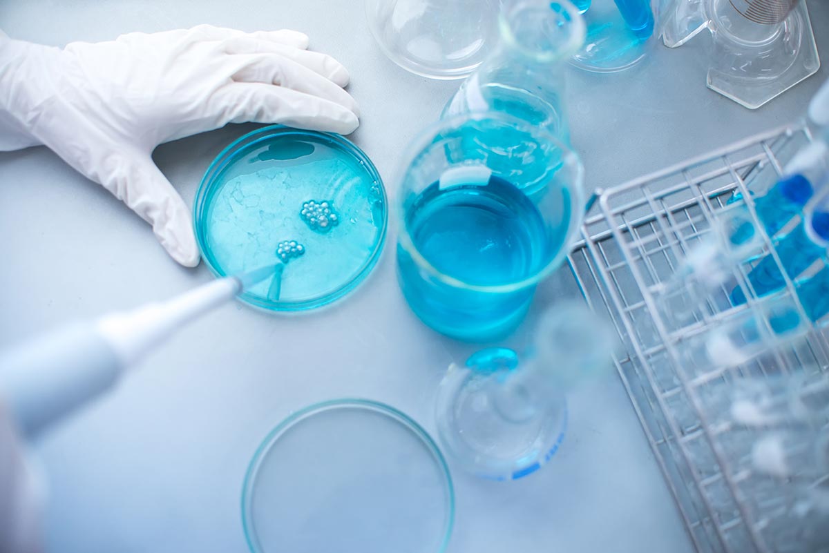 Drug Metabolism and Pharmacokinetics Services