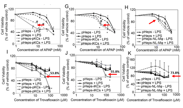 Immune-induced DILI detected using Hepatocyte and KC Co-Culture System